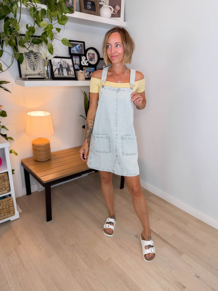 Hollis Stripe Denim Overall Dress