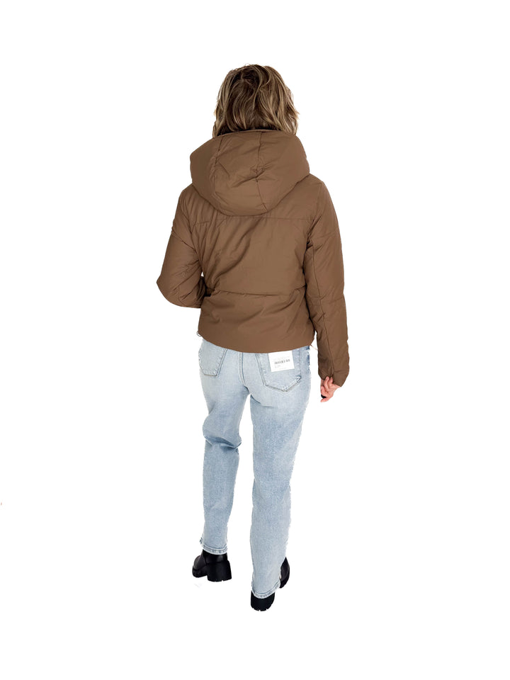 Johnstone Coated Jacket- CHOCOLATE